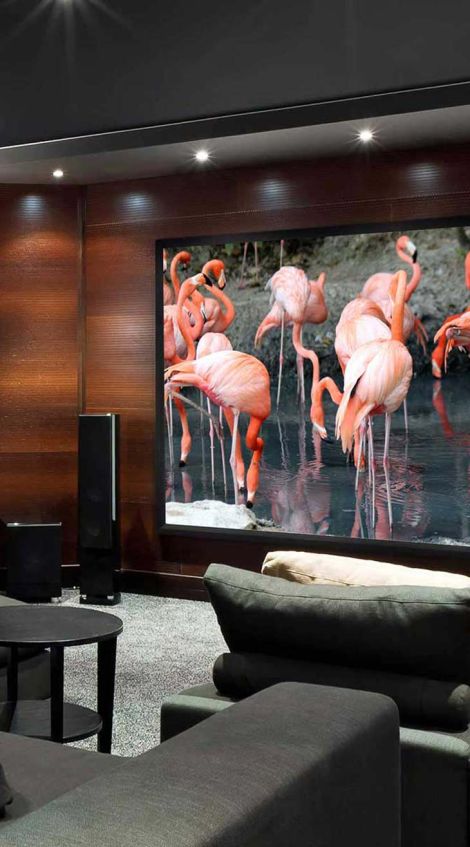 Home Theater, Flamingos, Led Lighting